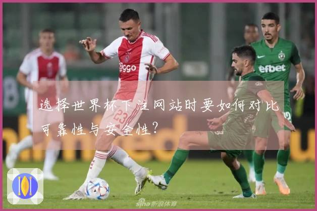 选择世界杯下注网站时要如何对比可靠性与安全性？