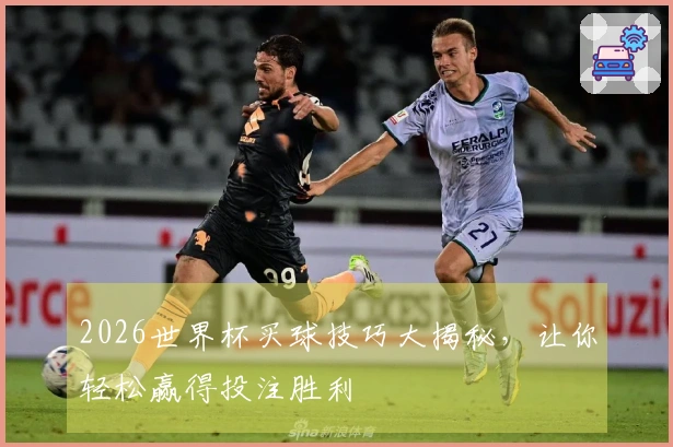 2026世界杯买球技巧大揭秘，让你轻松赢得投注胜利
