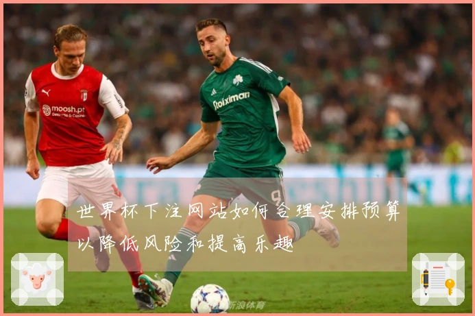 世界杯下注网站如何合理安排预算以降低风险和提高乐趣