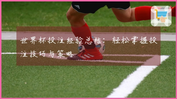 世界杯投注经验总结：轻松掌握投注技巧与策略