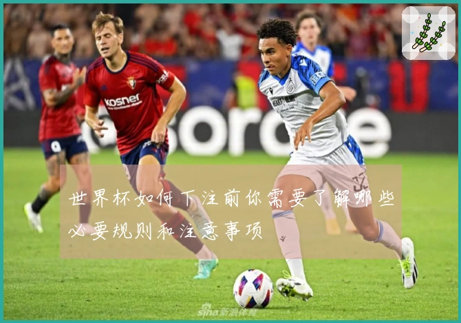 世界杯如何下注前你需要了解哪些必要规则和注意事项