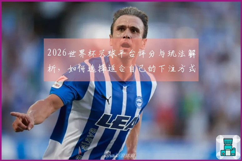 2026世界杯买球平台评分与玩法解析，如何选择适合自己的下注方式