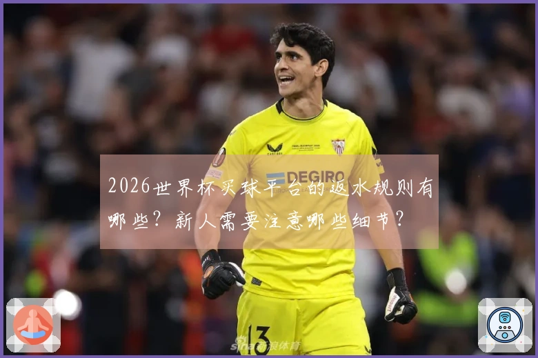 2026世界杯买球平台的返水规则有哪些？新人需要注意哪些细节？