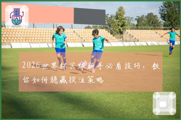 2026世界杯买球新手必看技巧，教你如何稳赢投注策略