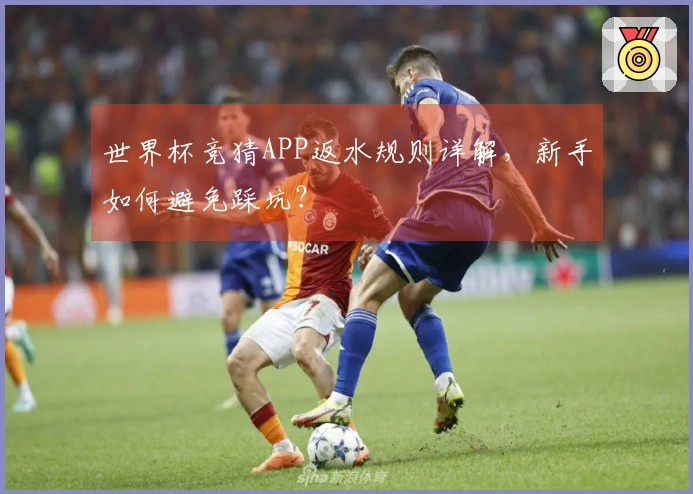 世界杯竞猜APP返水规则详解，新手如何避免踩坑？