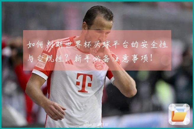 如何判断世界杯买球平台的安全性与合规性？新手必备注意事项！