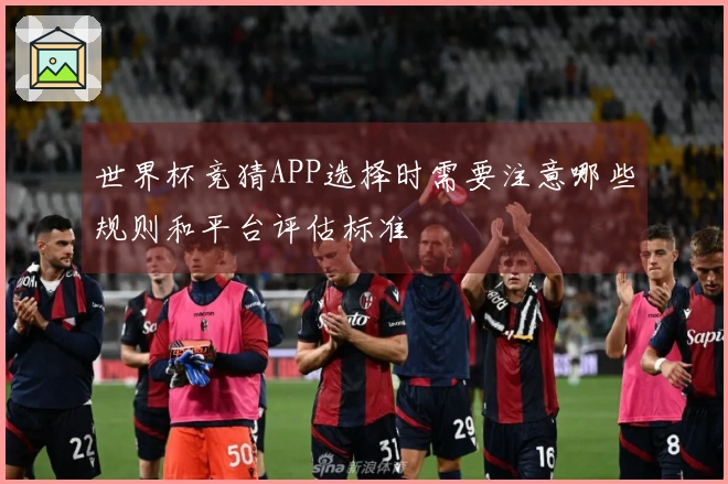 世界杯竞猜APP选择时需要注意哪些规则和平台评估标准