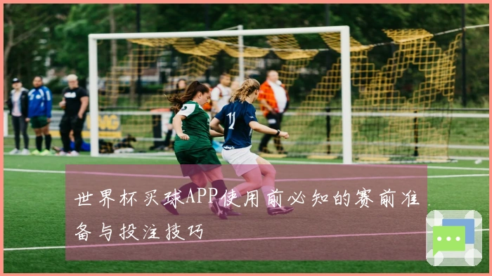 世界杯买球APP使用前必知的赛前准备与投注技巧