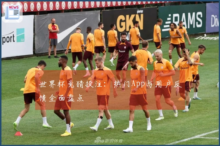 世界杯竞猜投注：热门App与用户反馈全面盘点