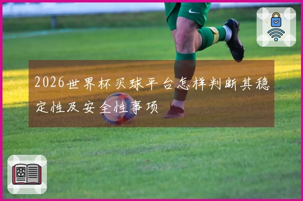 2026世界杯买球平台怎样判断其稳定性及安全性事项