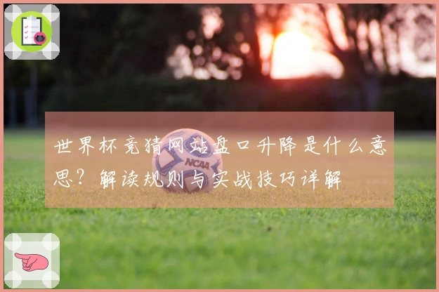 世界杯竞猜网站盘口升降是什么意思？解读规则与实战技巧详解