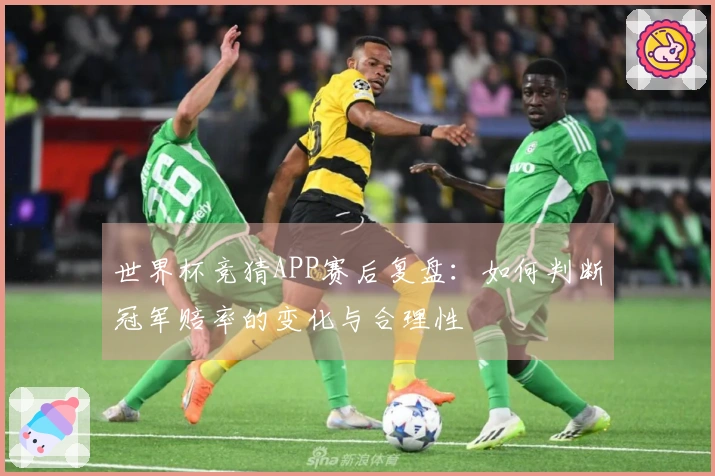 世界杯竞猜APP赛后复盘：如何判断冠军赔率的变化与合理性