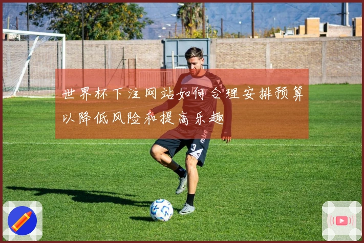 世界杯下注网站如何合理安排预算以降低风险和提高乐趣