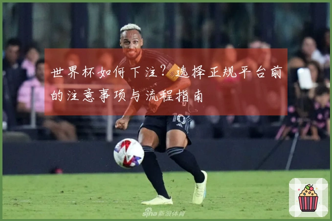 世界杯如何下注？选择正规平台前的注意事项与流程指南