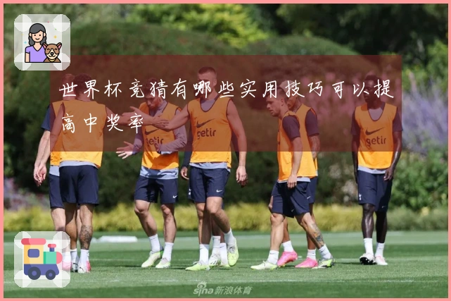 世界杯竞猜有哪些实用技巧可以提高中奖率
