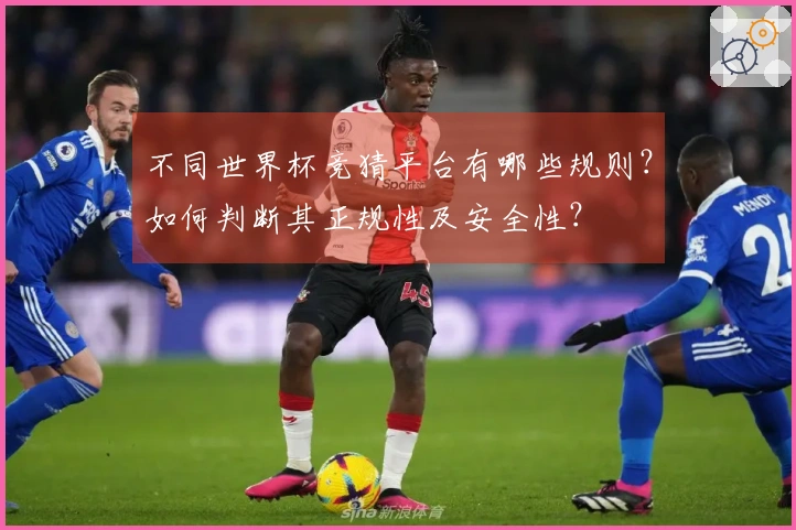 不同世界杯竞猜平台有哪些规则？如何判断其正规性及安全性？