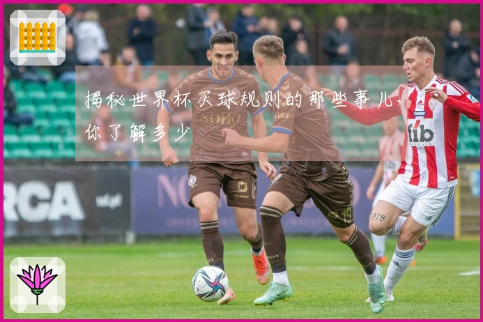 揭秘世界杯买球规则的那些事儿，你了解多少