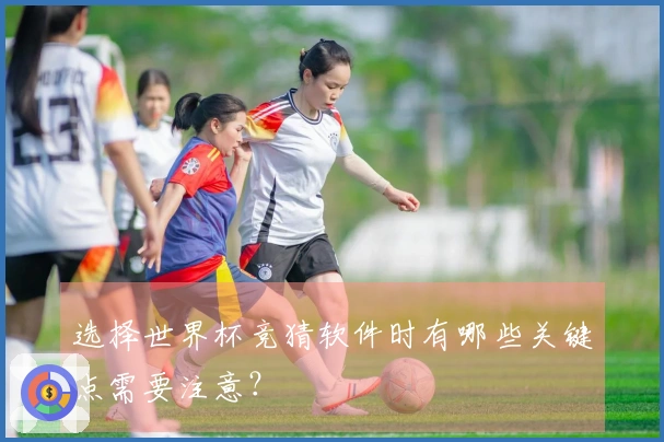 选择世界杯竞猜软件时有哪些关键点需要注意？