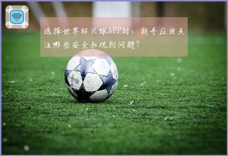 选择世界杯买球APP时，新手应该关注哪些安全和规则问题？