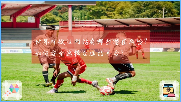 世界杯投注网站有哪些潜在风险？如何安全选择合适的平台？