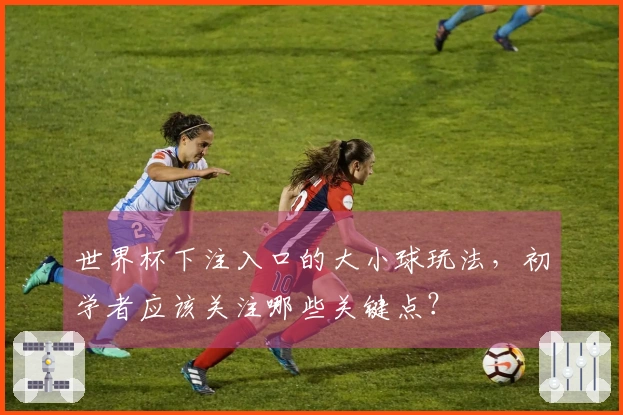 世界杯下注入口的大小球玩法，初学者应该关注哪些关键点？