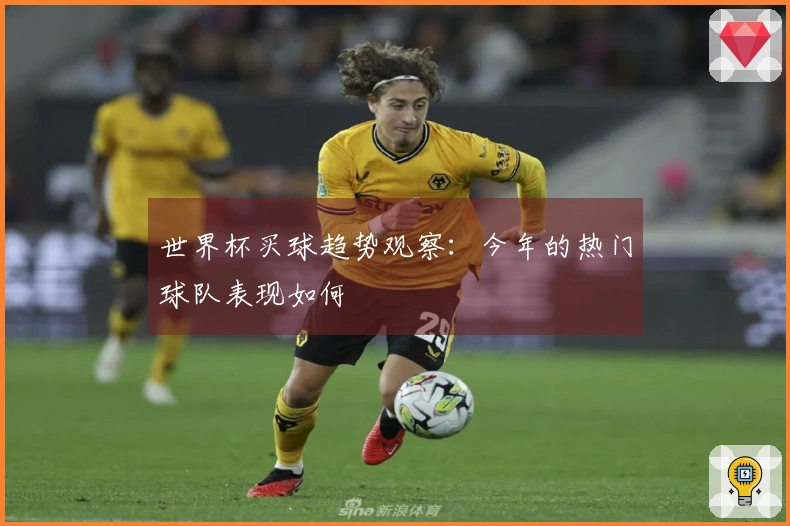 世界杯买球趋势观察：今年的热门球队表现如何