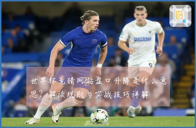 世界杯竞猜网站盘口升降是什么意思？解读规则与实战技巧详解