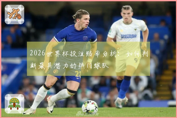 2026世界杯投注赔率分析：如何判断最具潜力的热门球队