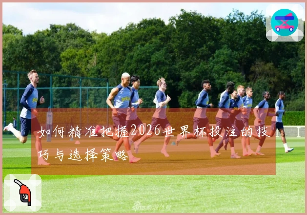 如何精准把握2026世界杯投注的技巧与选择策略