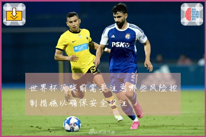 世界杯买球前需要注意哪些风险控制措施以确保安全投注