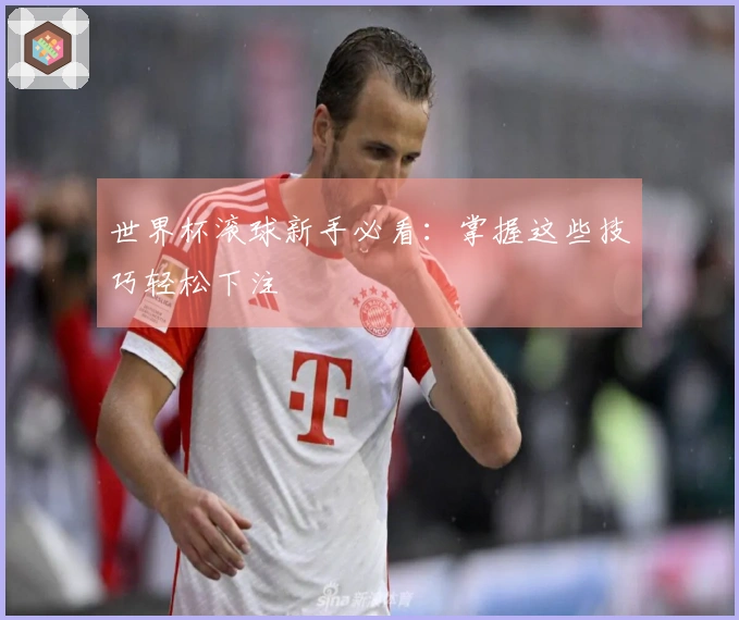 世界杯滚球新手必看：掌握这些技巧轻松下注