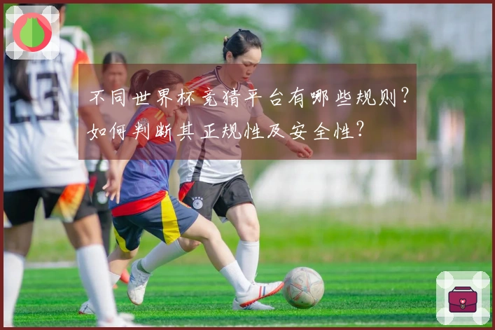 不同世界杯竞猜平台有哪些规则？如何判断其正规性及安全性？