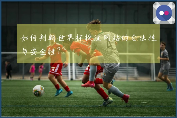 如何判断世界杯投注网站的合法性与安全性？