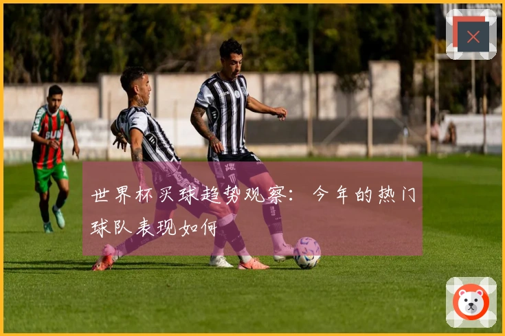 世界杯买球趋势观察：今年的热门球队表现如何