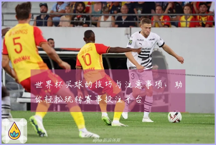 世界杯买球的技巧与注意事项，助你轻松玩转赛事投注平台