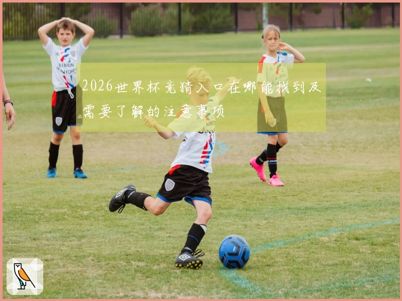 2026世界杯竞猜入口在哪能找到及需要了解的注意事项