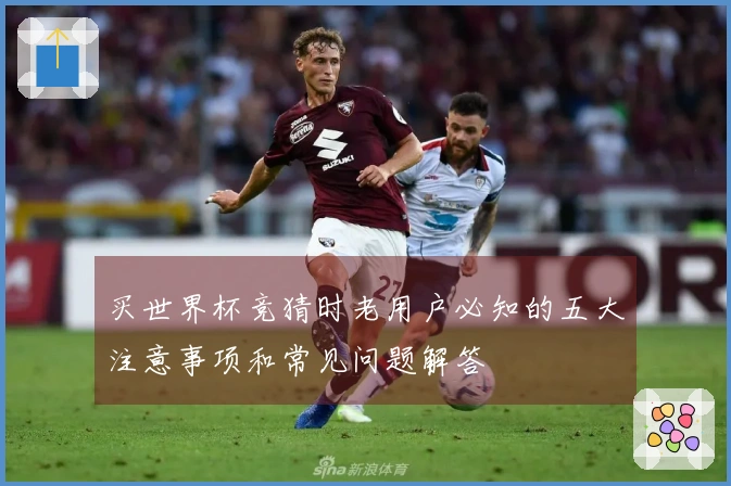 买世界杯竞猜时老用户必知的五大注意事项和常见问题解答