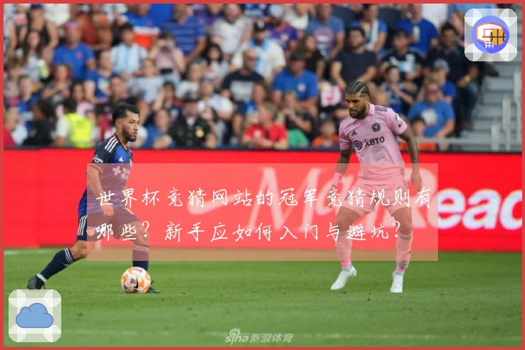 世界杯竞猜网站的冠军竞猜规则有哪些？新手应如何入门与避坑？