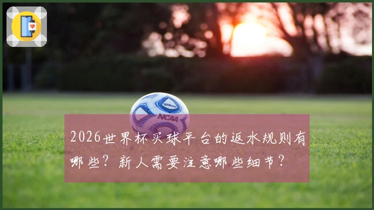 2026世界杯买球平台的返水规则有哪些？新人需要注意哪些细节？