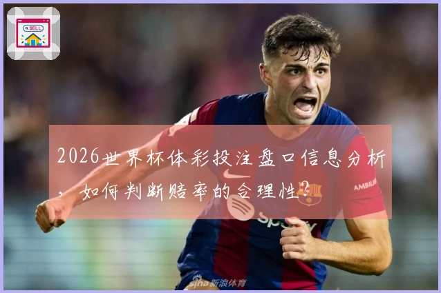 2026世界杯体彩投注盘口信息分析，如何判断赔率的合理性？